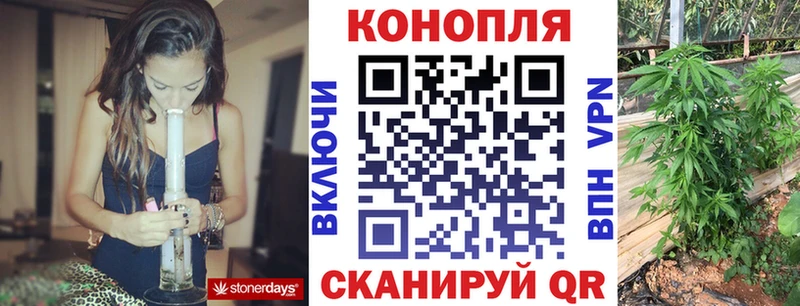 Купить закладки  Берёзовка  Бошки Шишки марихуана 